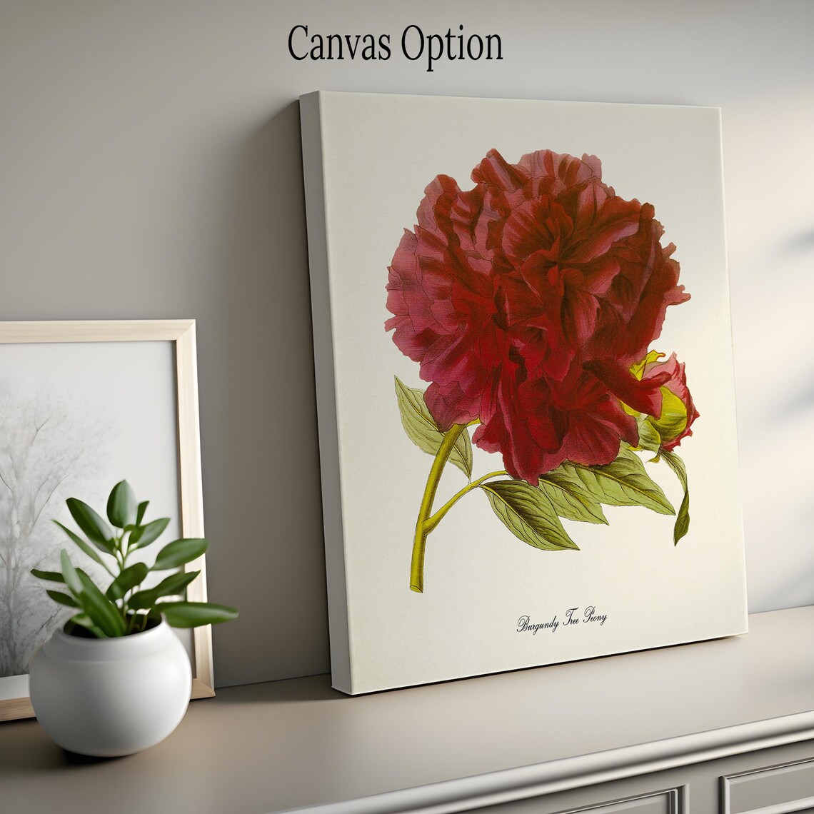 Burgundy Tree Peony Flower Botanical Art Print - Image 2