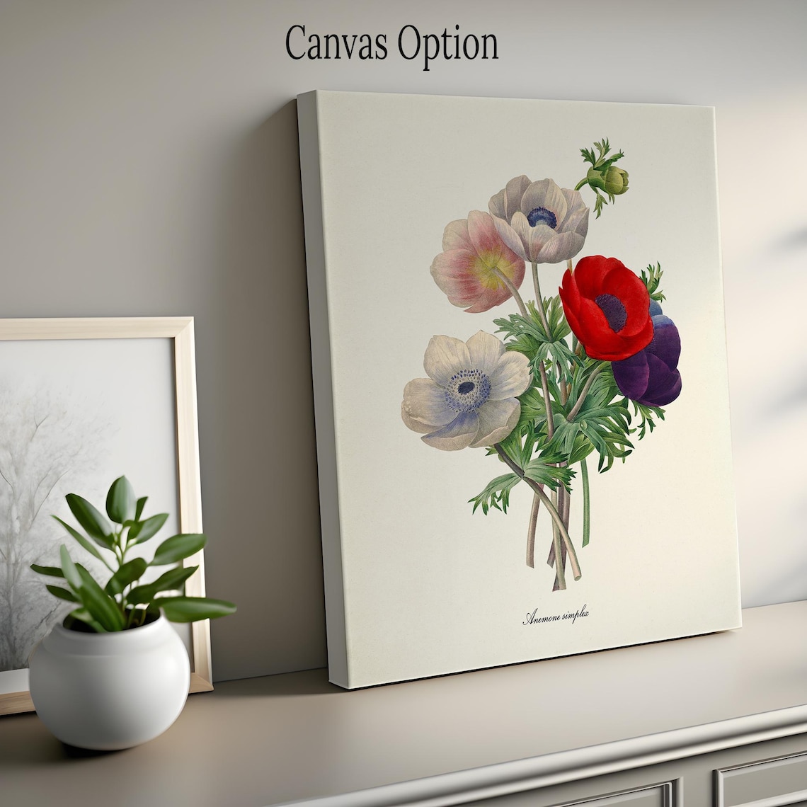 Anemone Simplex, Redoute-Inspired Botanical Art Print - Image 2