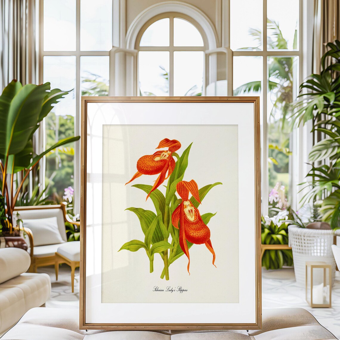 Siberian Lady's Slipper Botanical Art Print - Image 3