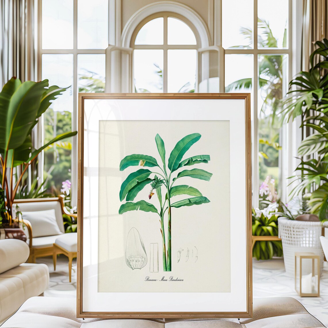 Banana Musa Paradisiaca Botanical Print with Tropical Palm Leaves - Image 3