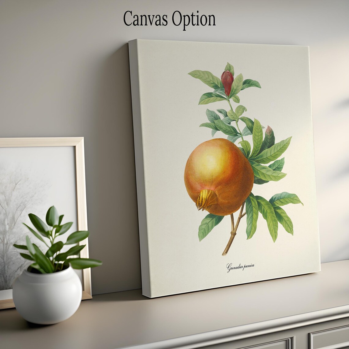 Pomegranate Botanical Art Print, Redoute-Inspired - Image 2