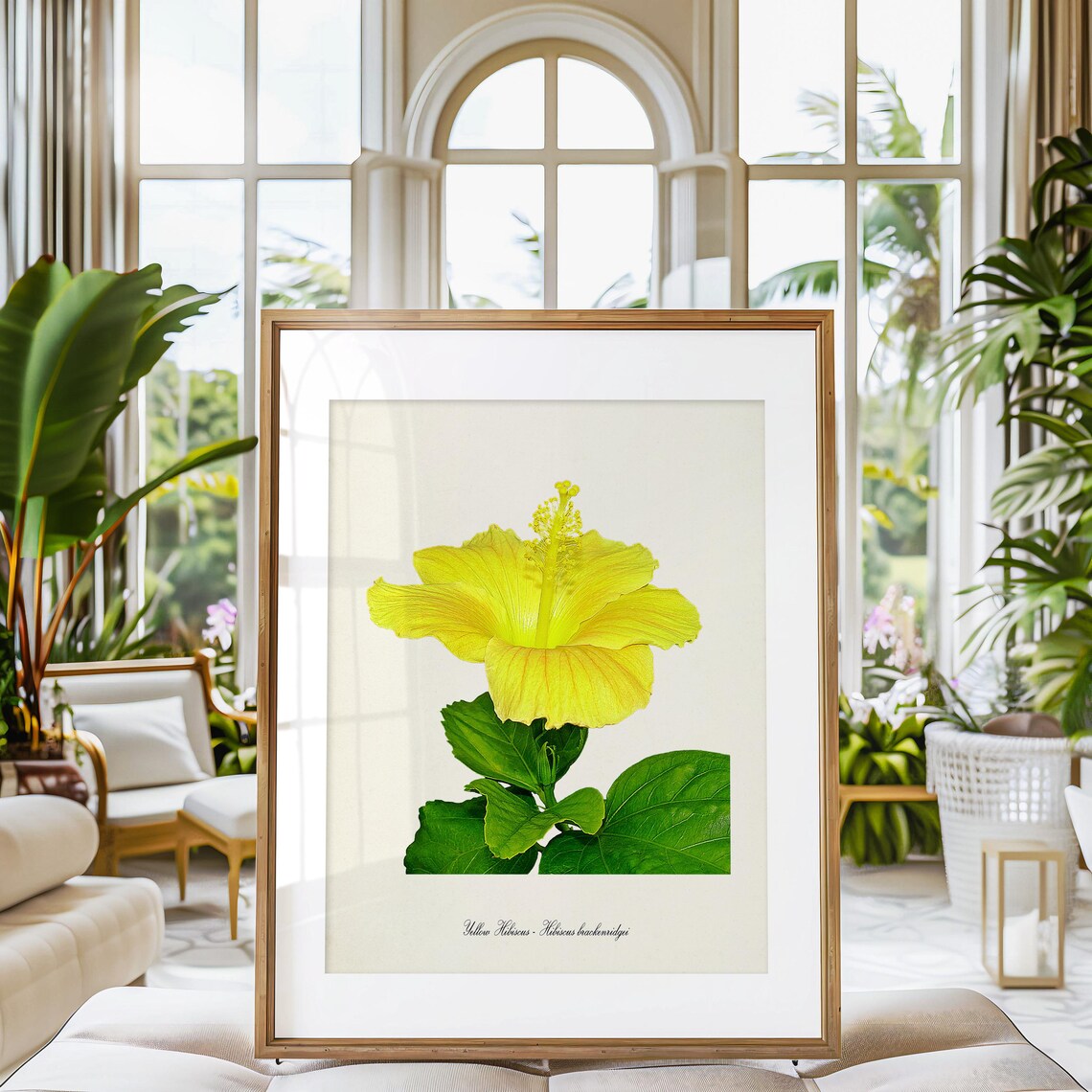 Yellow Hibiscus, Hawaii State Flower Art Print - Image 3