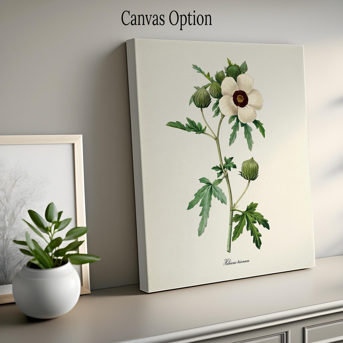 Flower Of An Hour Botanical Art Print, Redouté - Image 2
