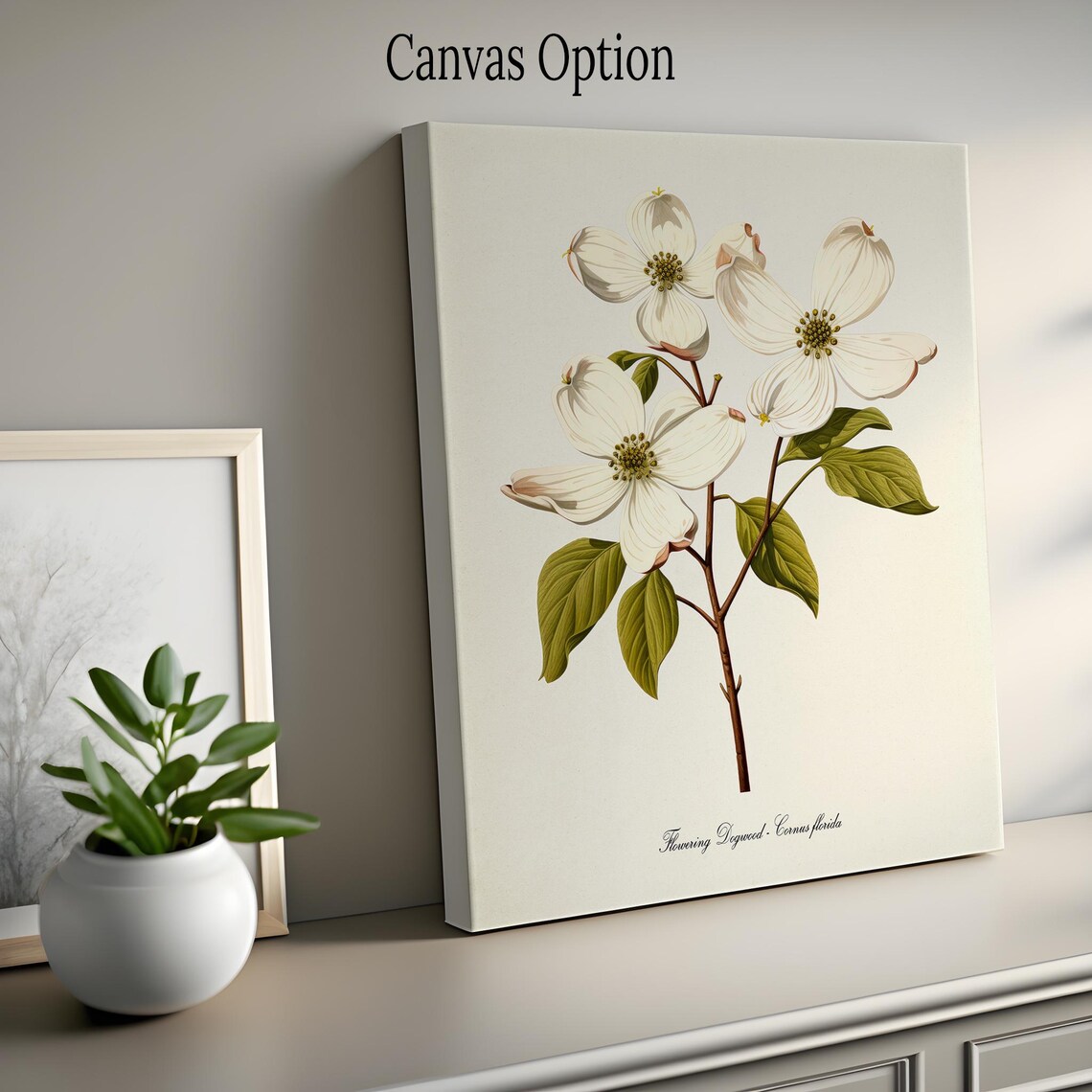 Dogwood Flower Botanical Art Print, Cornus Florida - Image 2