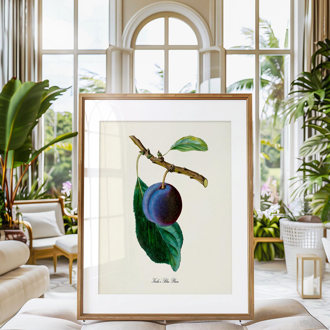 Kirkes Blue Plum Botanical Art Print, Kitchen Wall Art - Image 3