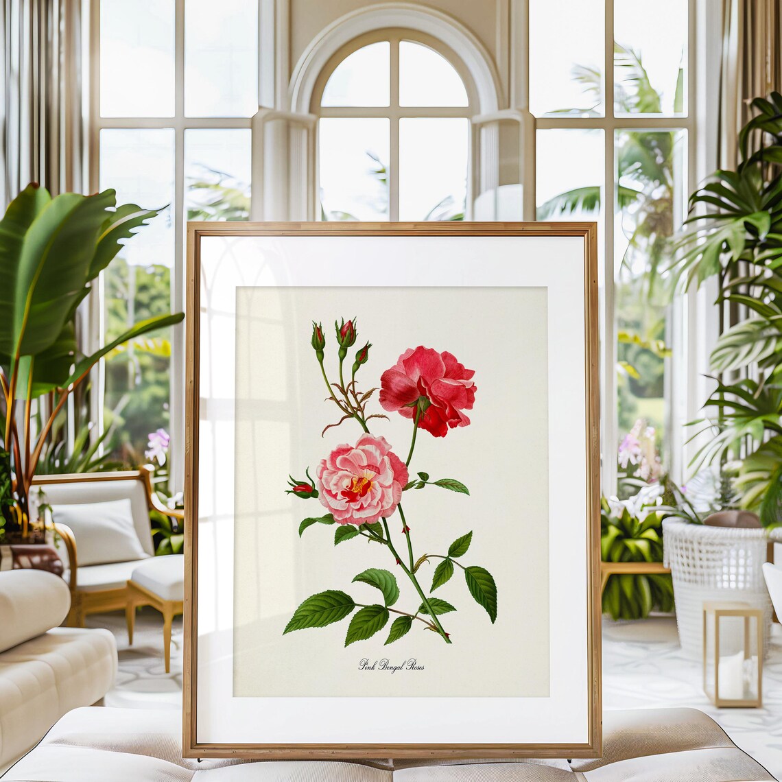 Pink Bengal Roses Floral Botanical Wall Art Print - Image 3
