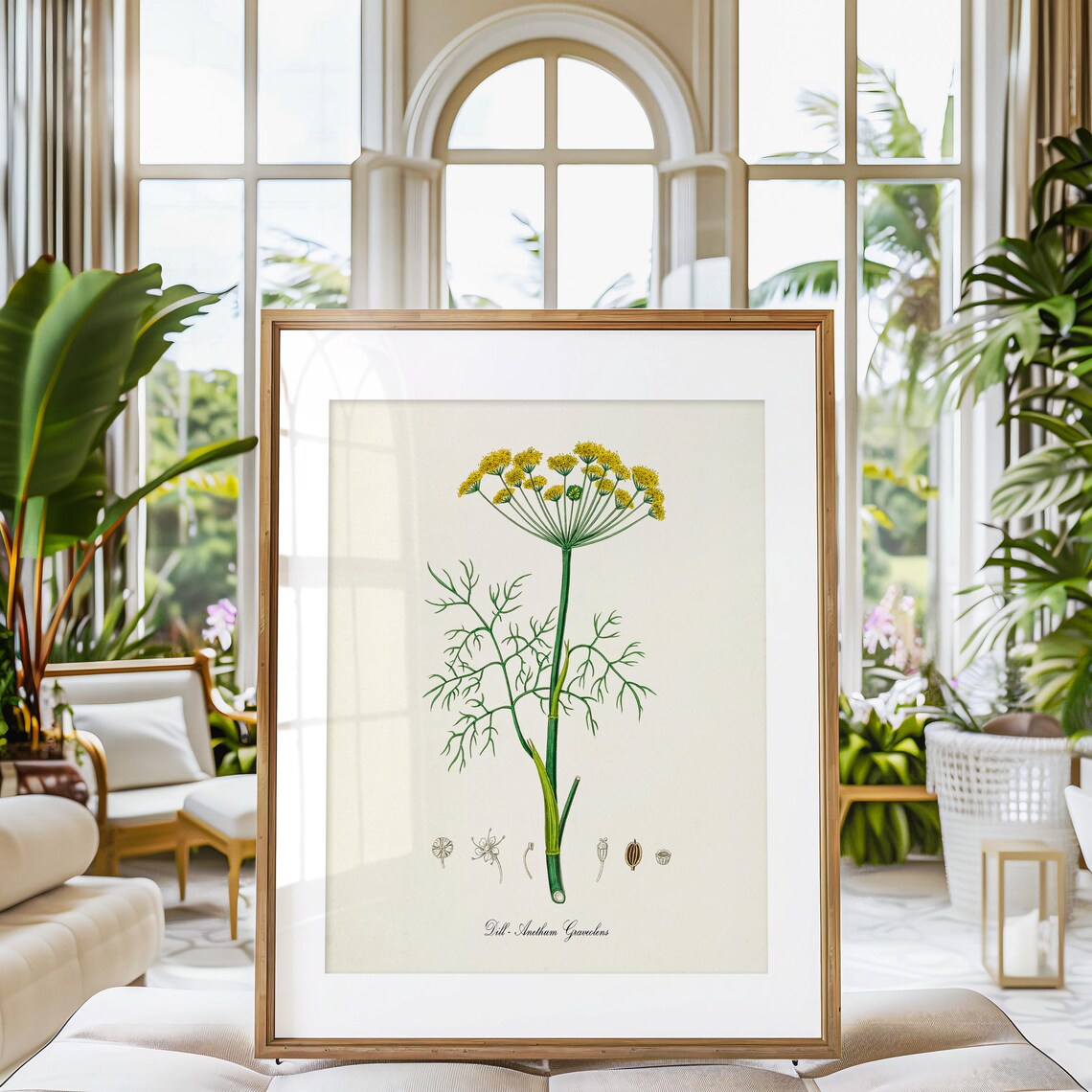 Dill Botanical Art Print, Herb Kitchen Wall Art - Image 3
