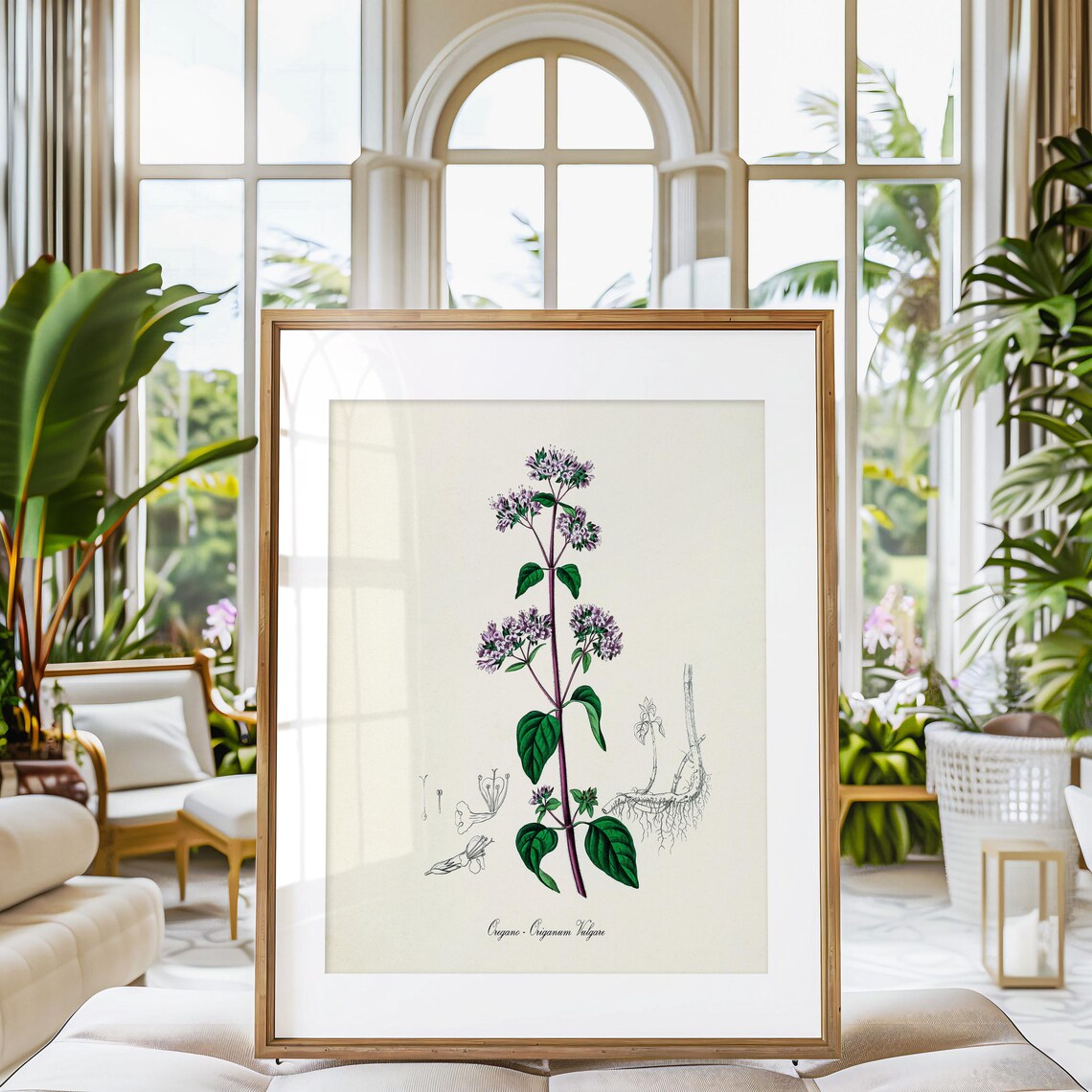 Oregano Botanical Art Print, Origanum Vulgare - Image 3