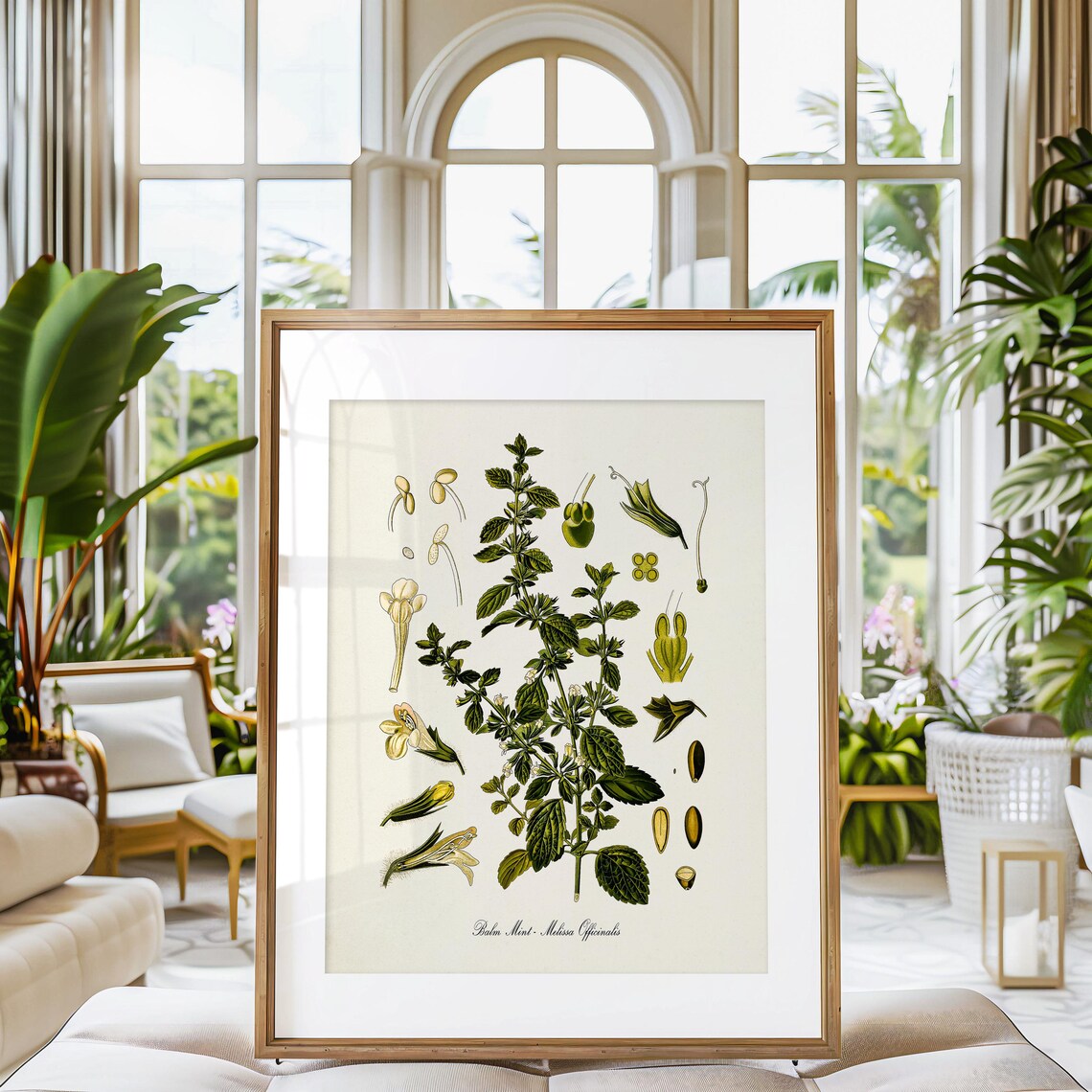 Balm Mint Botanical Art Print, Melissa Officinalis - Image 3