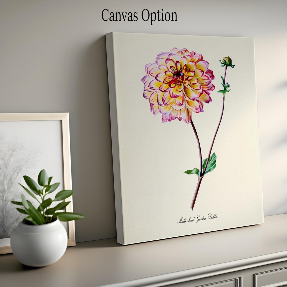 Multicolored Garden Dahlia Botanical Wall Art Print - Image 2