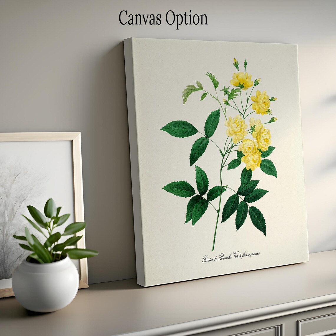 Yellow Rose Botanical Art Print, Floral Study - Image 2