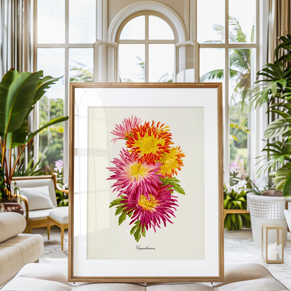 Chrysanthemum Flower Wall Art Print, Pink Red Yellow - Image 3