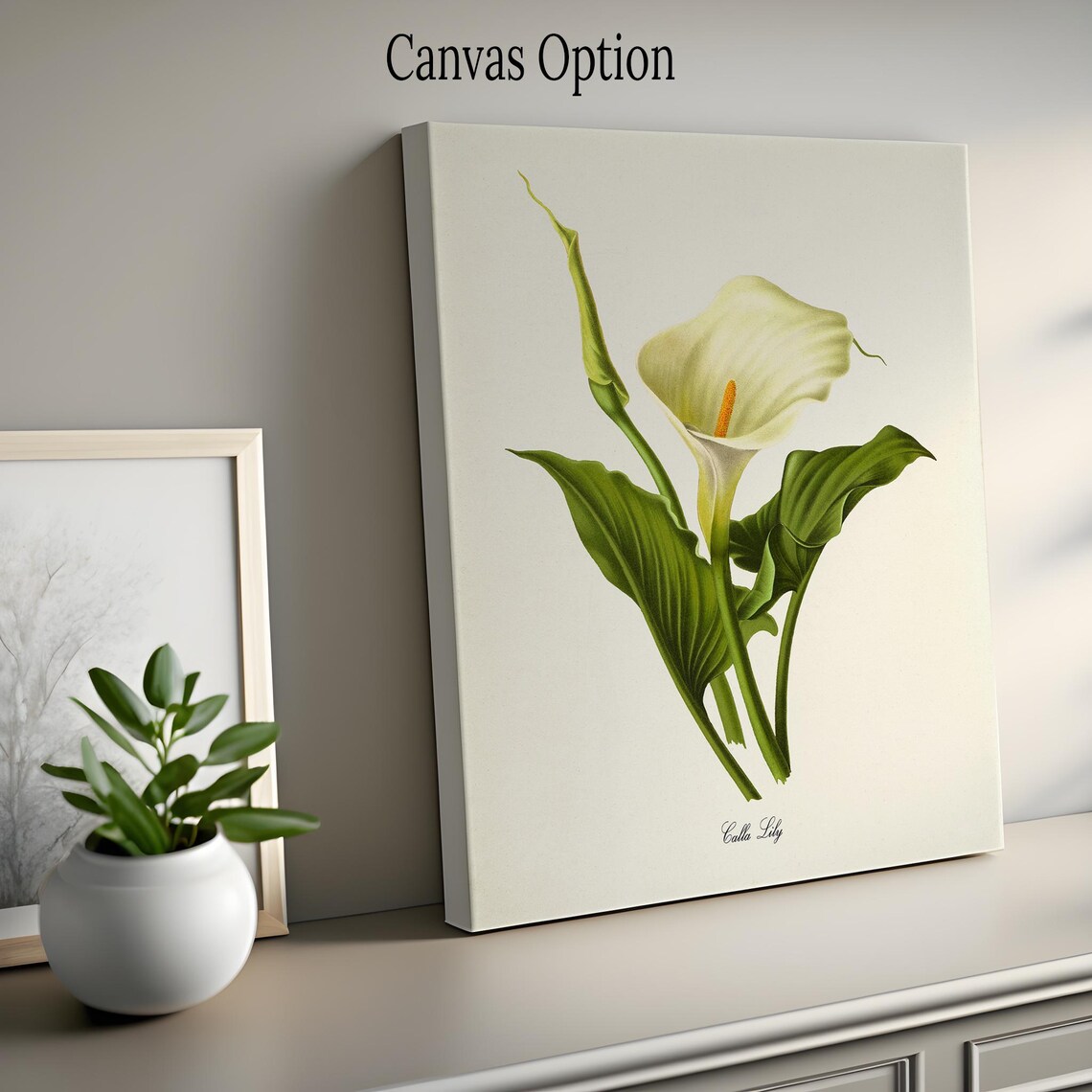 Calla Lily Botanical Floral Wall Art Print, White Lily - Image 2