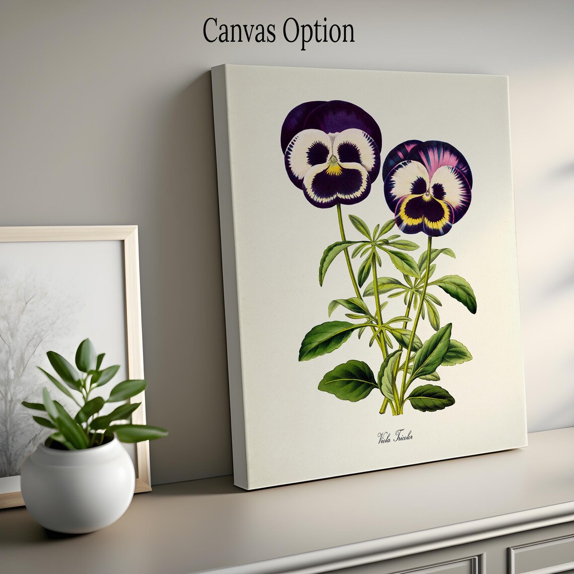 Viola Tricolor Pansy Botanical Flower Art Print - Image 2