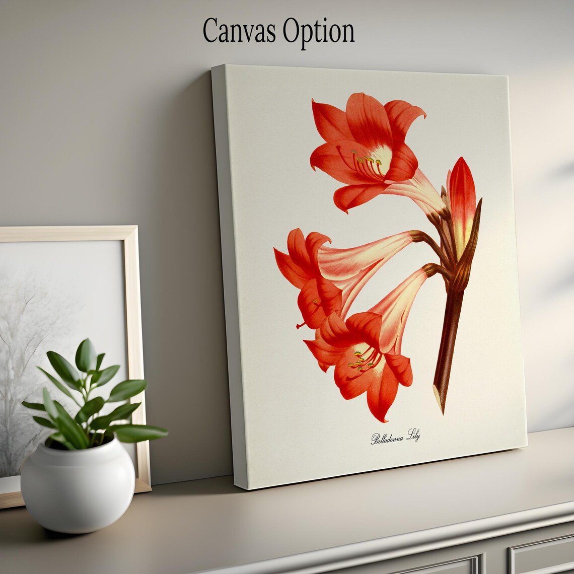 Belladonna Lily Botanical Art Print, Floral Decor - Image 2