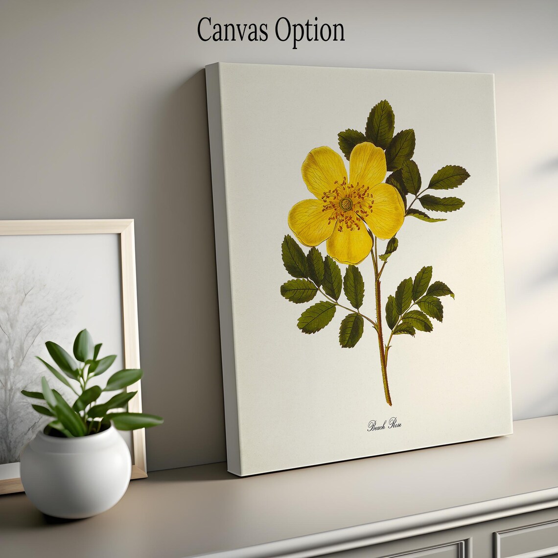 Beach Rose Botanical Art Print, Yellow Rose Poster - Image 2