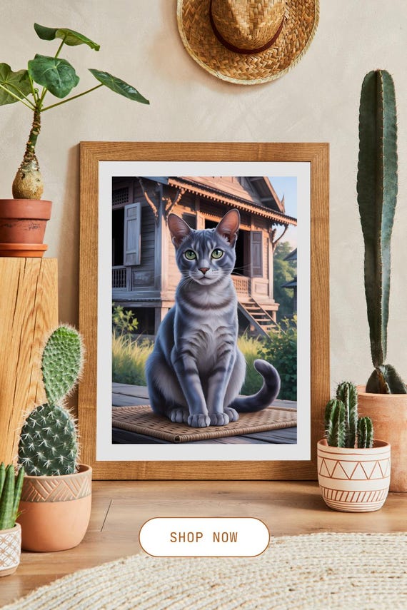 Korat Cat Portrait Thai Heritage House Background Elegant Feline Art Print