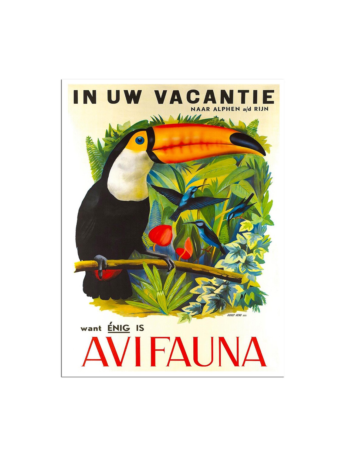 Avifauna Bird Park Vintage Dutch Travel Poster with Toucan and Birds