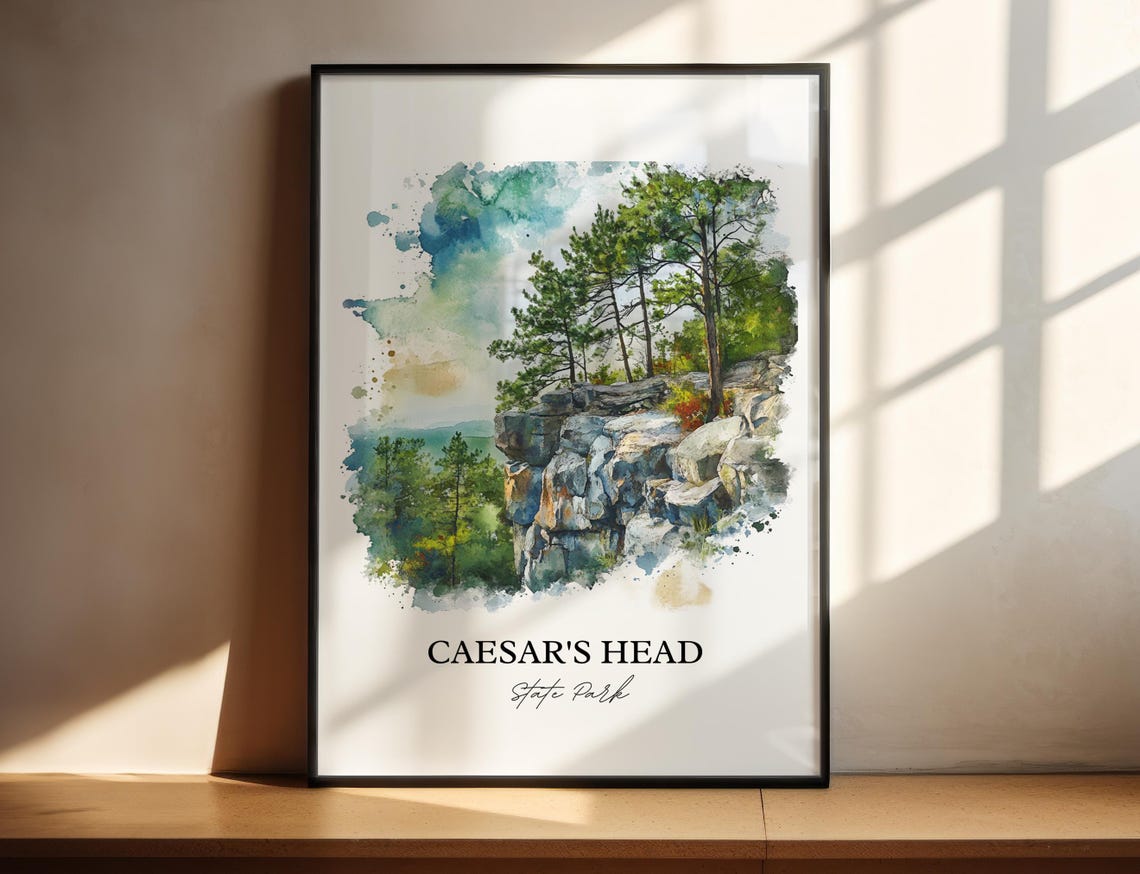Caesars Head State Park South Carolina Rocky Cliff View Poster