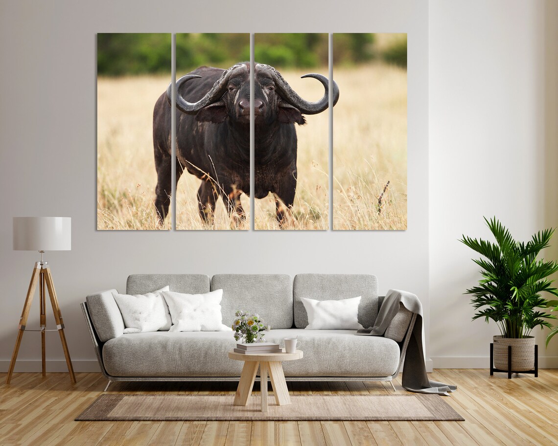 African Buffalo Front View Savanna Grassland Wildlife Photography Poster - Image 6