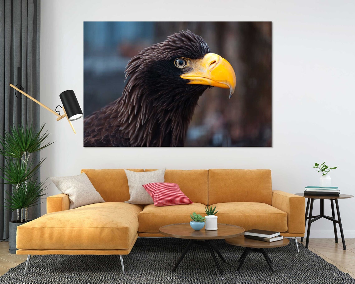 Black Eagle Profile Yellow Beak Majestic Wildlife Photo Poster - Image 5