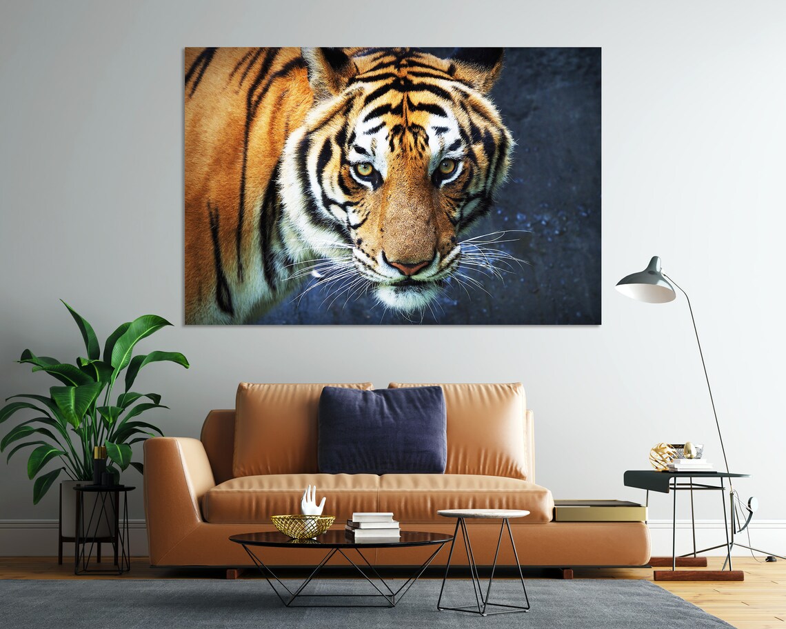 Tiger Close Up Face Portrait Intense Eyes Orange Stripes Wildlife Art Poster - Image 7