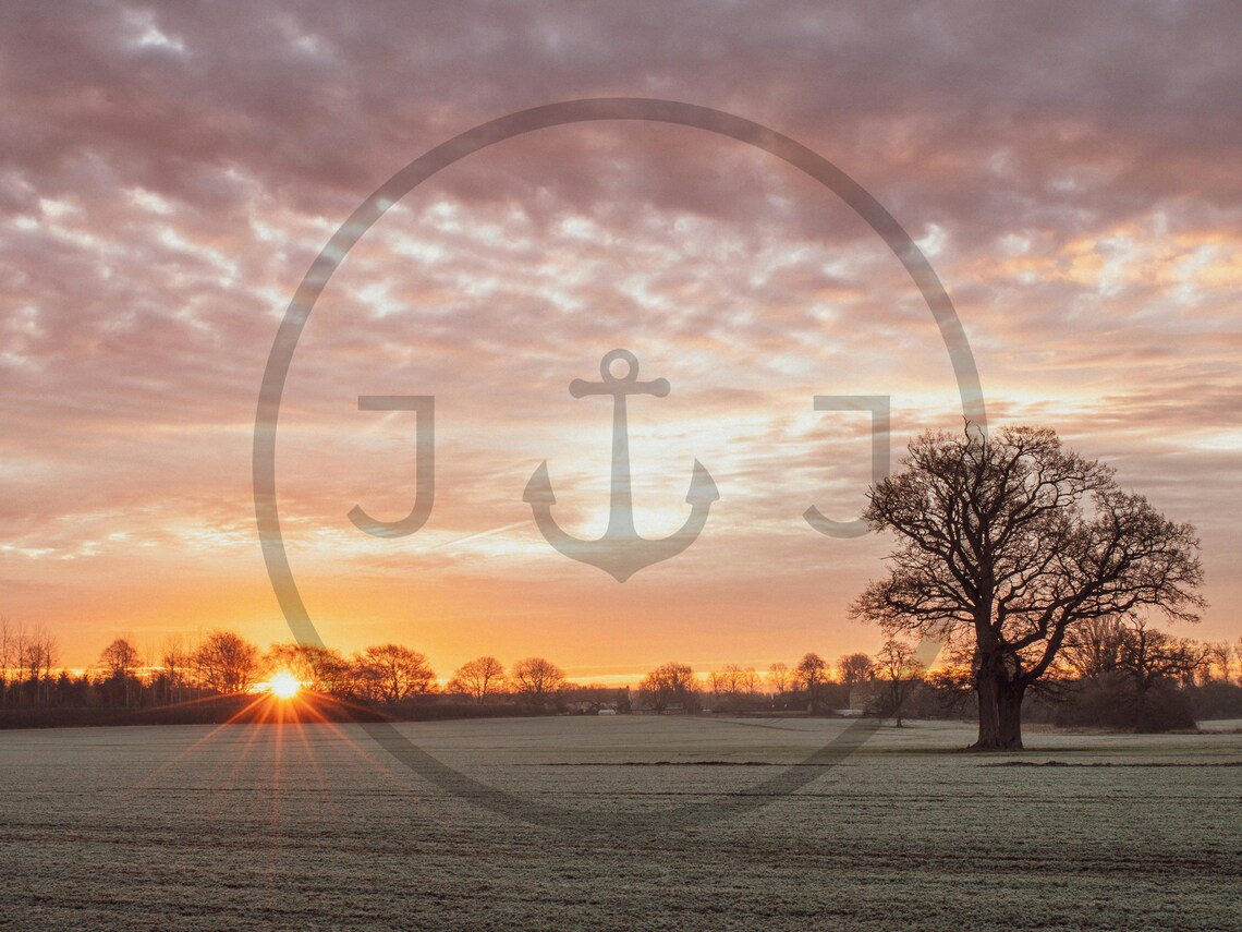 Lone Tree in Frosty Field Sunrise Pink Clouds Morning Poster - Image 3