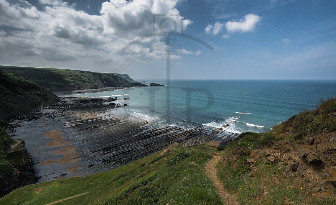 Green Marsland Cliff Near Bude Cornwall Sea Coastal Path Poster - Image 3