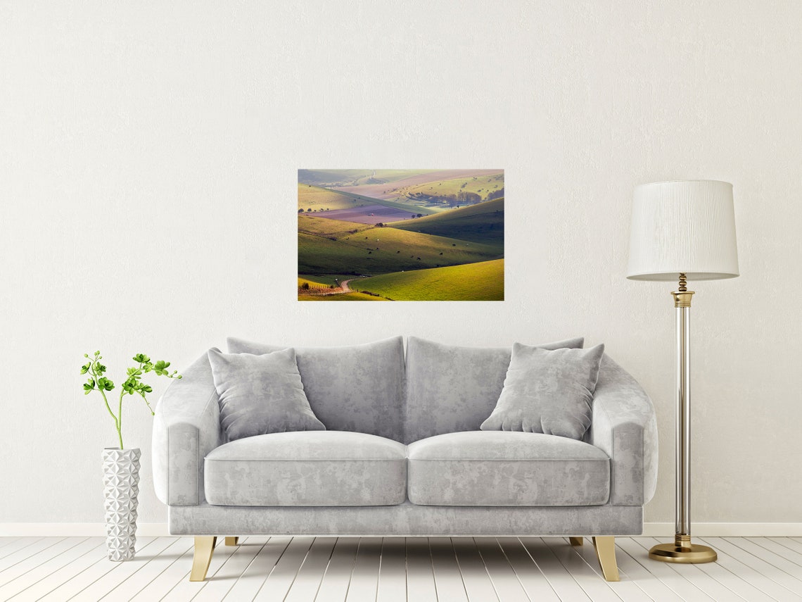 South Downs Rolling Green Hills And Grazing Cattle Herd Poster - Image 2