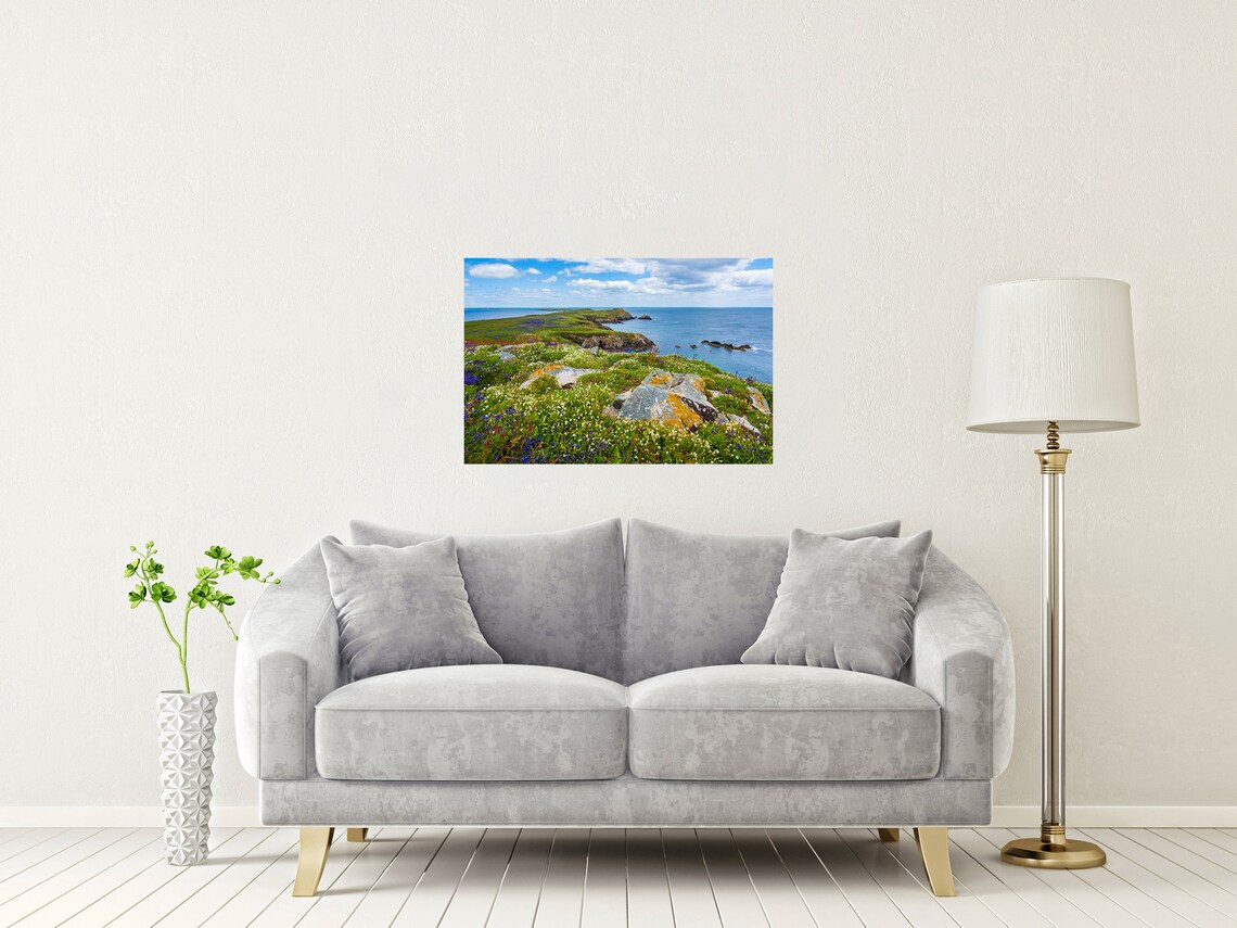 Saltee Islands Wildflower Headland Of Bluebells Above The Sea Poster - Image 2