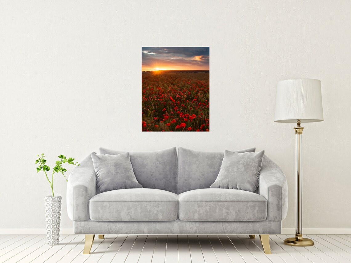 Red Poppies Wiltshire Countryside Sunset Field Of Wildflowers Poster - Image 2