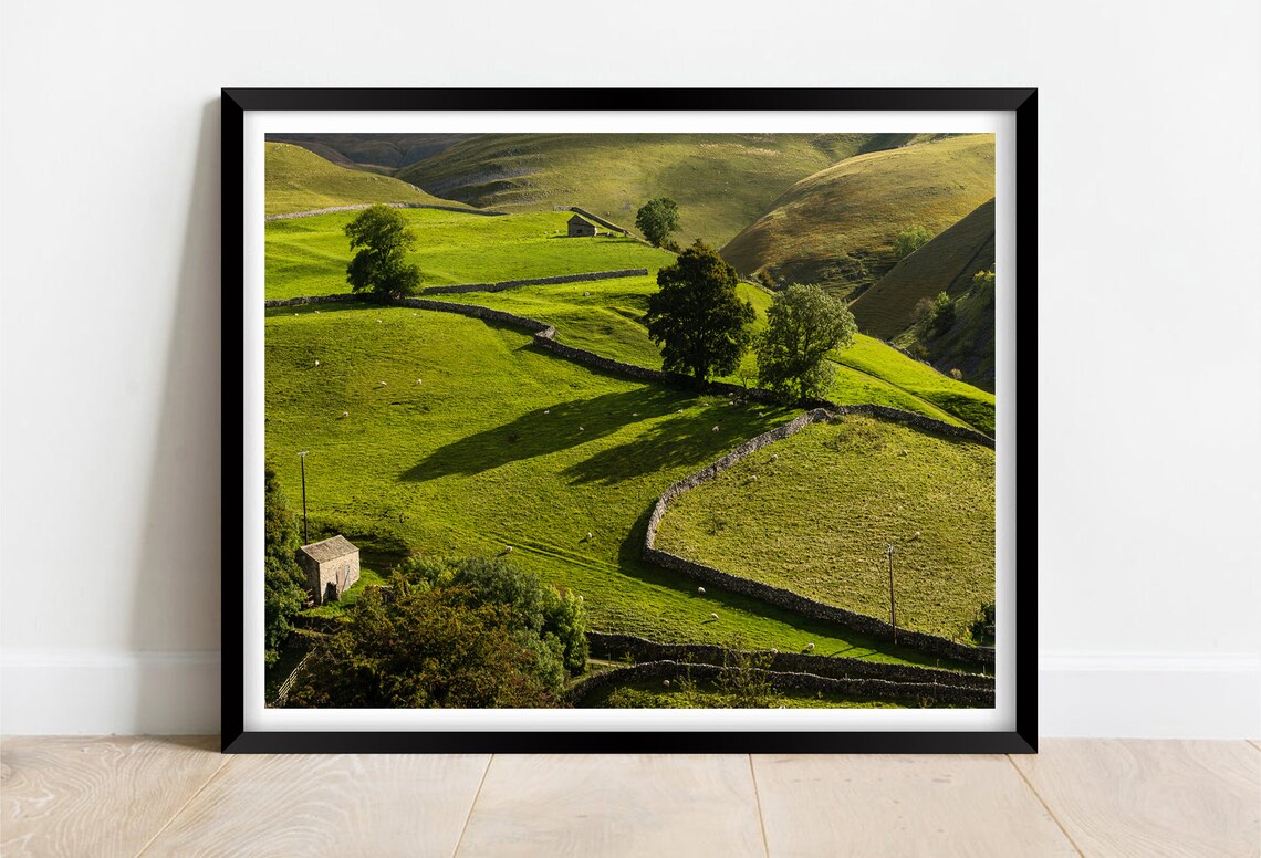 Yorkshire Dales Green Pasture Stone Walls Sheep Hills Poster
