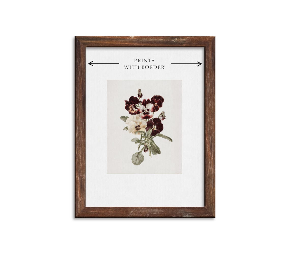 Pansy Bunch Vintage Botanical Art Print - Image 4