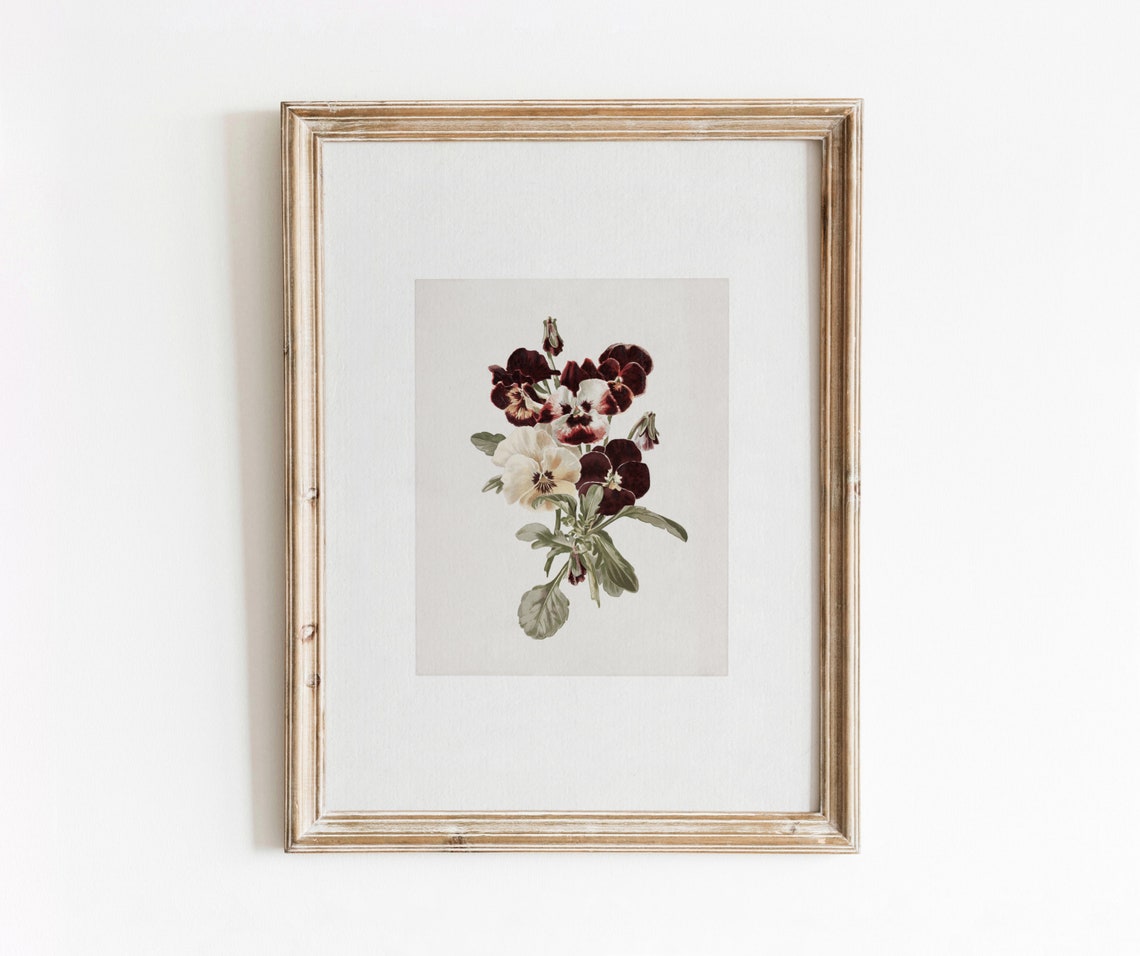 Pansy Bunch Vintage Botanical Art Print