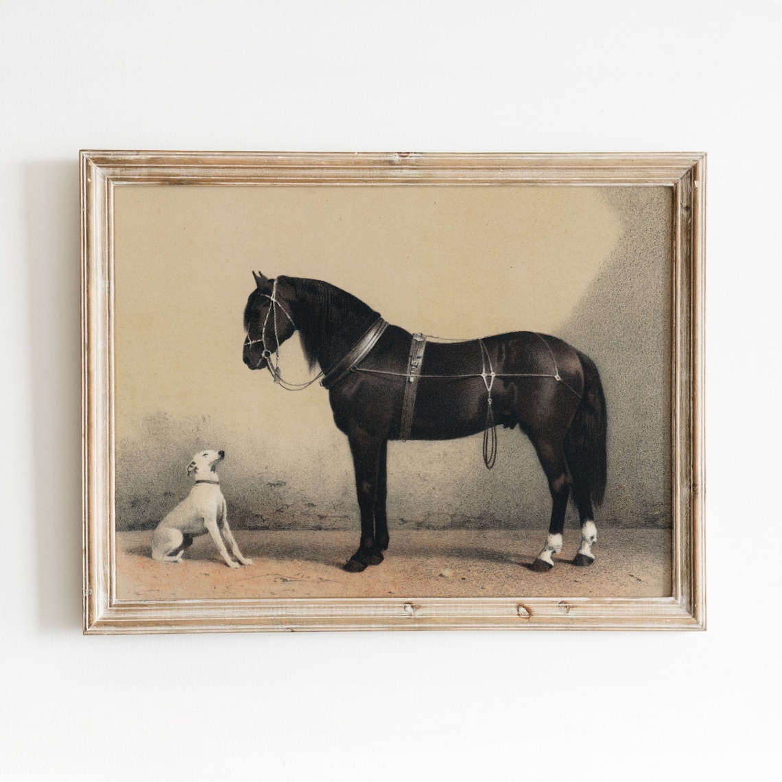 Horse Dog Illustration, Vintage Animal Art Print