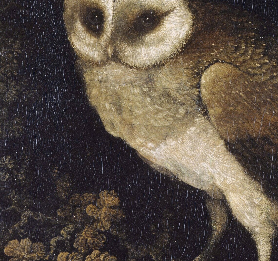 Night Owl Vintage Nocturnal Bird Art Print - Image 3