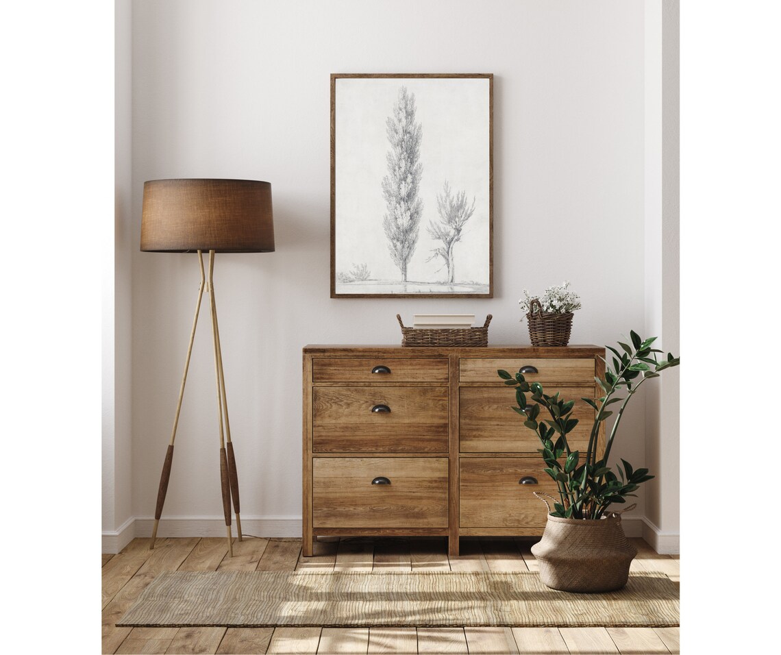 Willow Poplar Tree Illustration, Vintage Botanical Art Print - Image 3