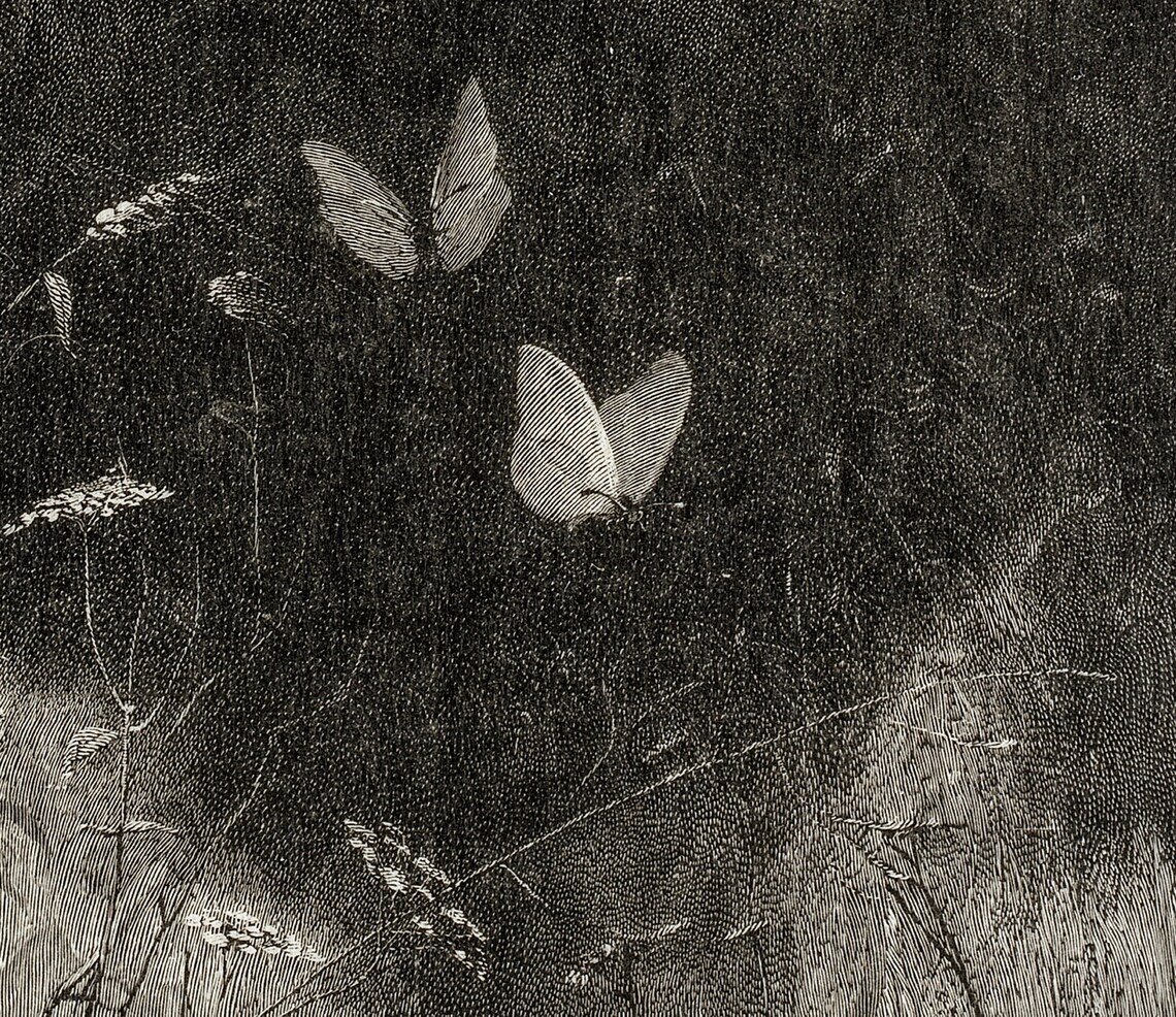 Butterfly Etching Vintage Art Print, Moody Dark - Image 2