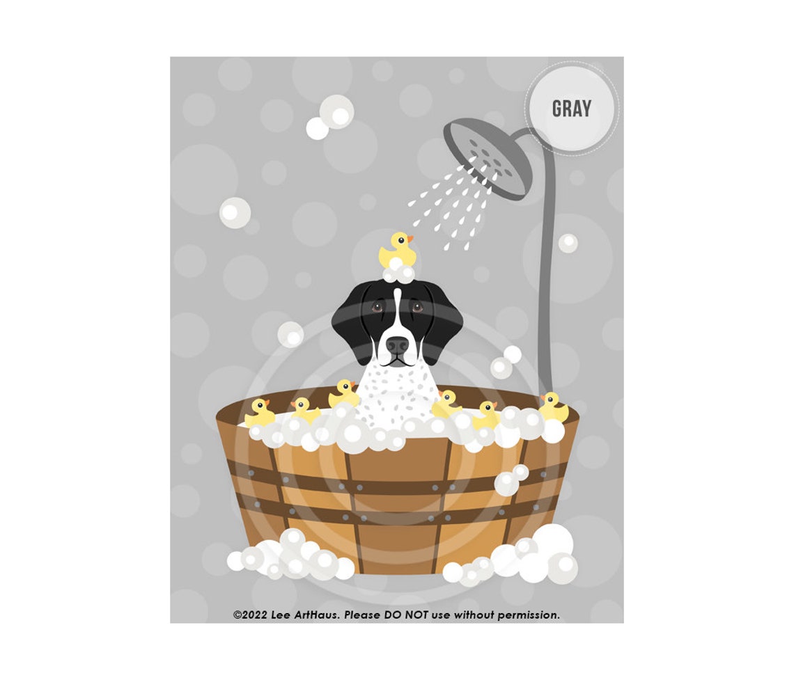 German Shorthaired Pointer In Wooden Tub Bath With Rubber Ducks Poster