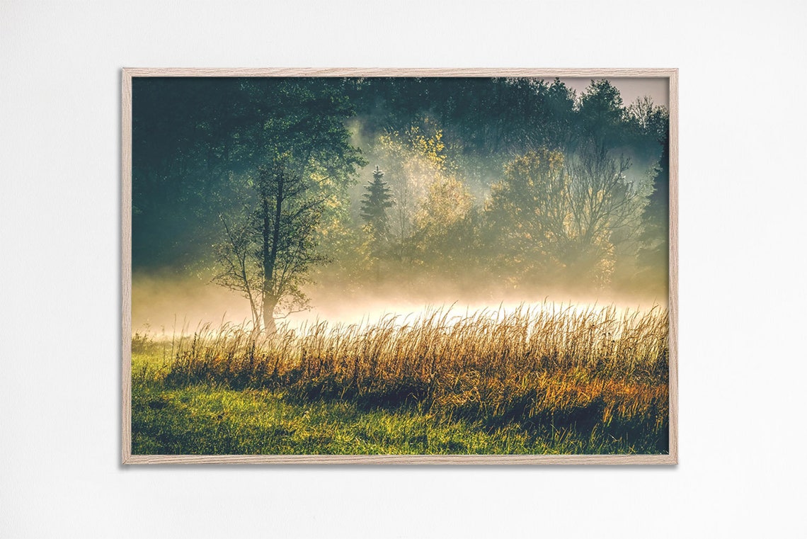 Misty Morning Forest Meadow Golden Fog Tall Grass Nature Photo Print