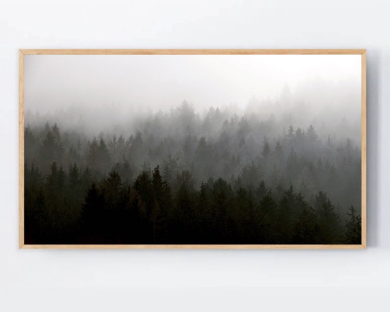Black And White Frame Tv Art Modern Forest Samsung Minimal Misty