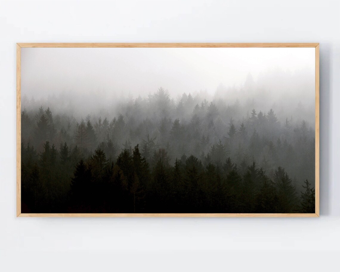 Black And White Misty Pine Forest Fog Over Treetops Woodland Print