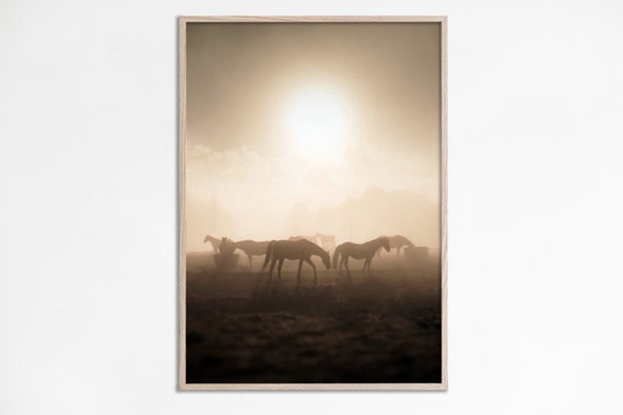Horses Photography Misty Farm Photo Foggy Cottage Sunset Landscape Mist Farmhouse Decor Rustic Art Print Ranch Poster