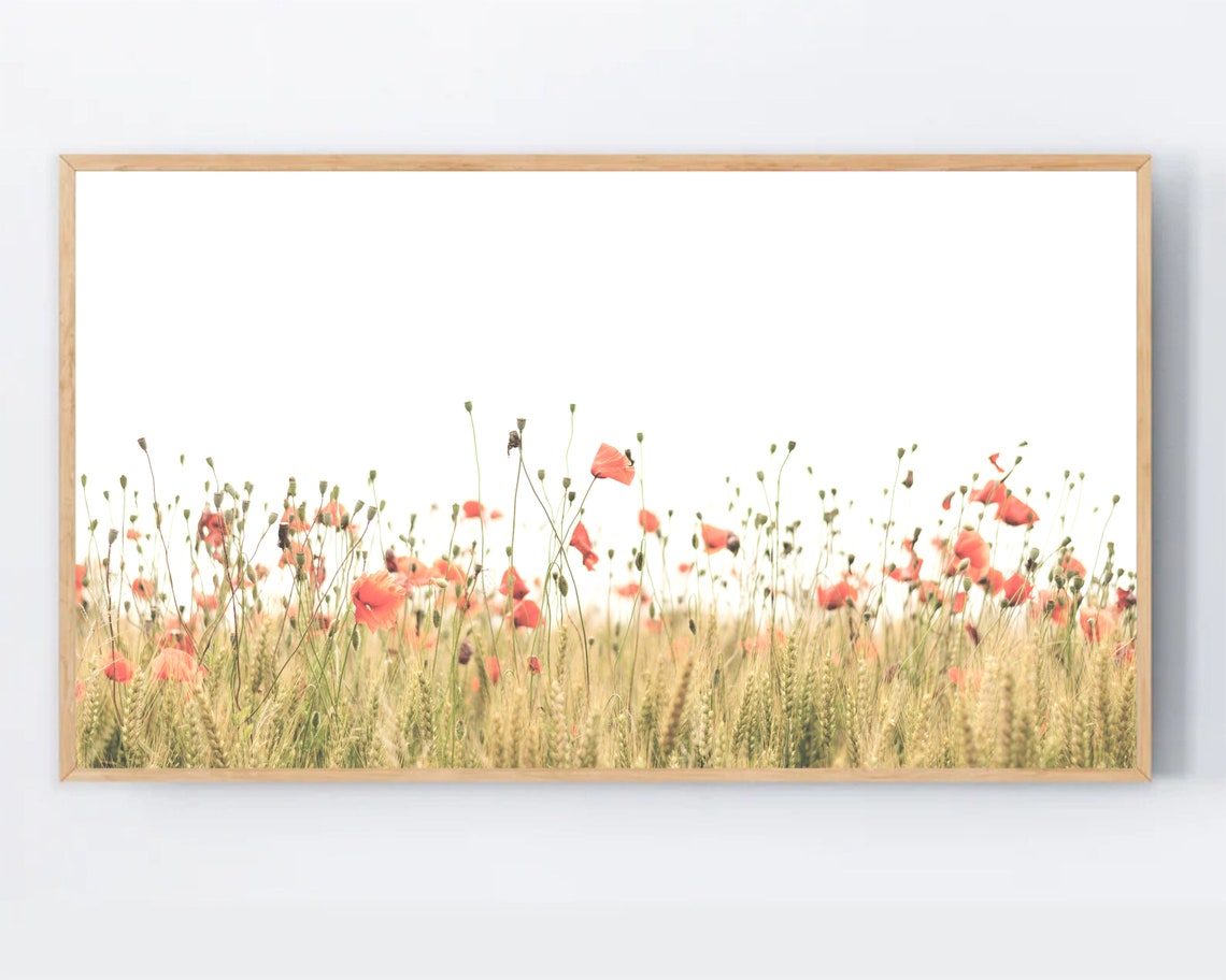 Red Poppies Wheat Field Minimalist Spring Nature Photo Poster