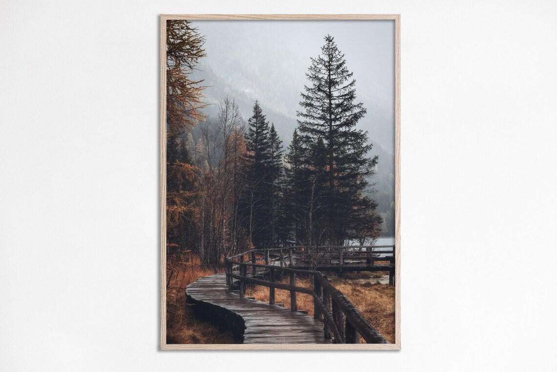 Fall Forest Print, Autumn Landscape Art Print