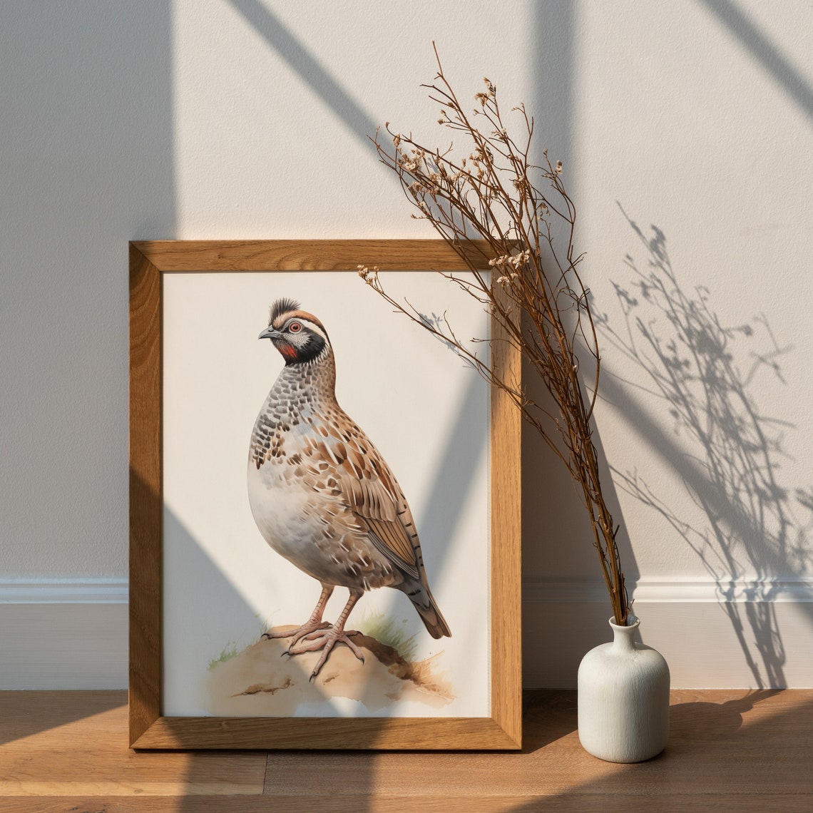 Crested Quail Watercolor Bird Portrait Realistic Wildlife Art Poster - Image 2