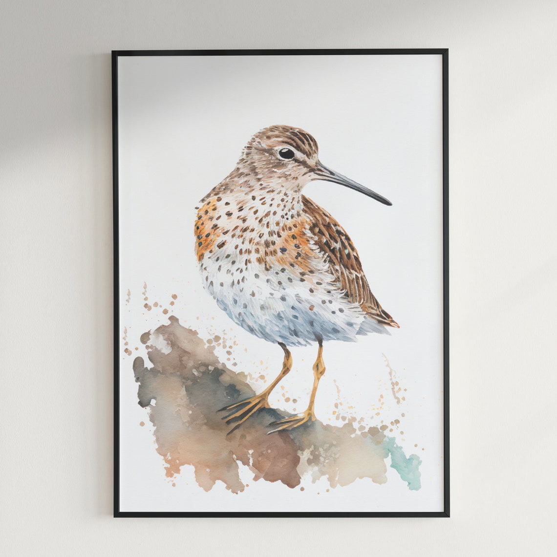Speckled Sandpiper Shorebird Wading Watercolor Bird Portrait Poster - Image 3