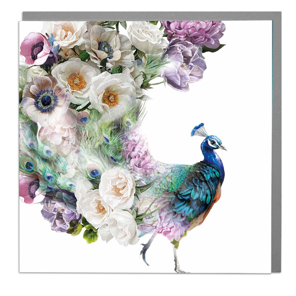 Flamboyant Peacock Art Print By Lola Design