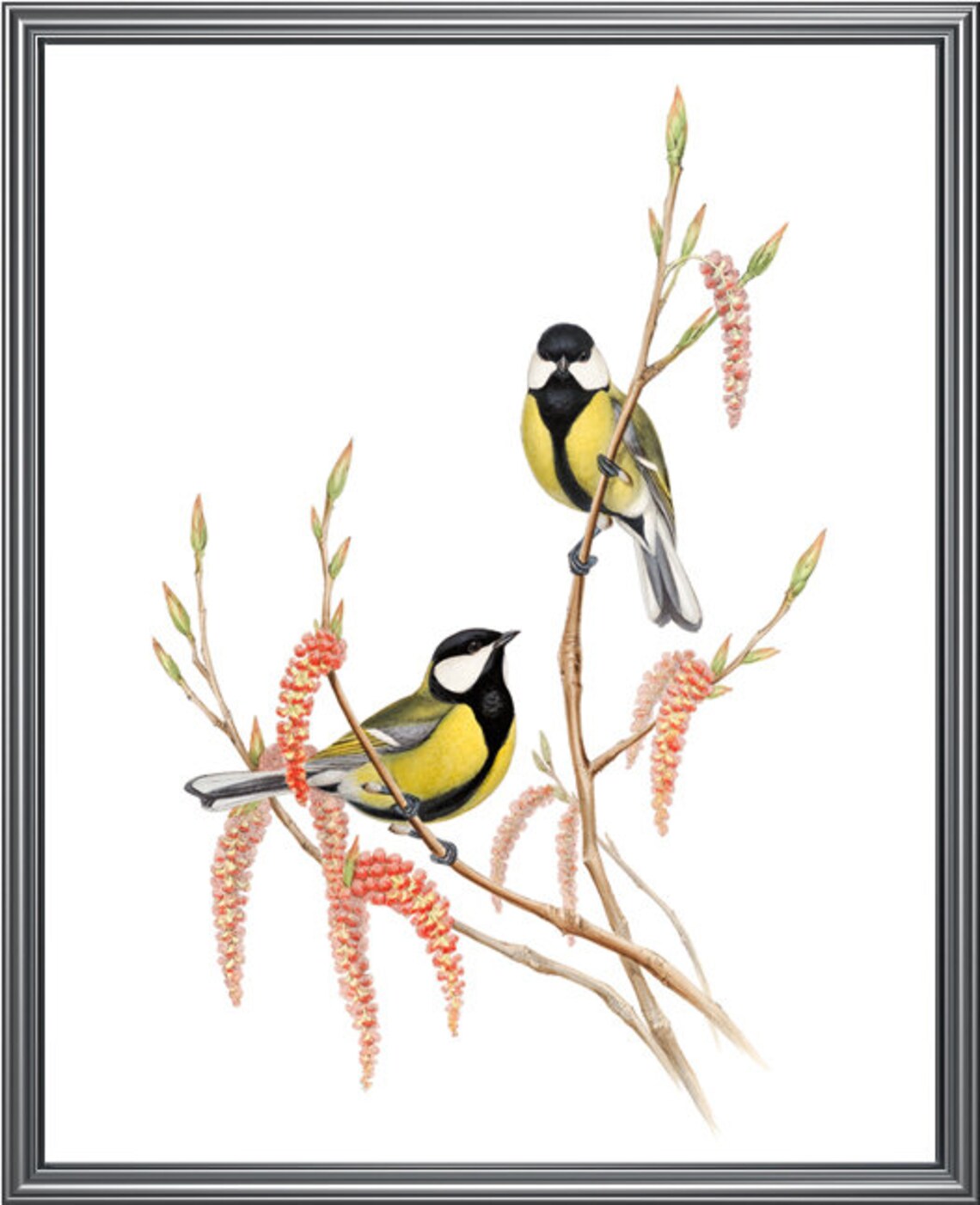 Great Tit Birds and Botanical Vintage Art Print - Image 3