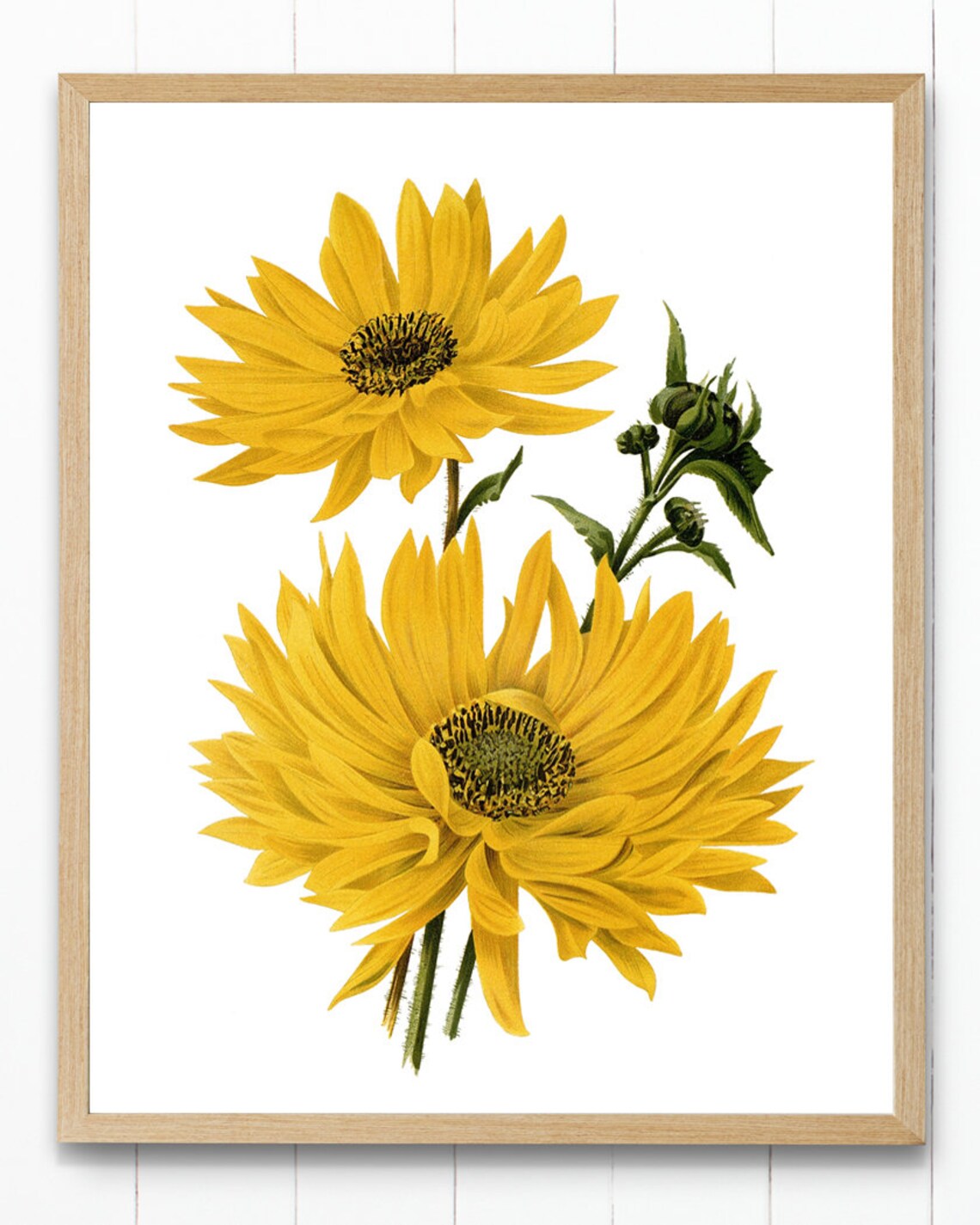Yellow Flowers Vintage Botanical Art Print - Image 4